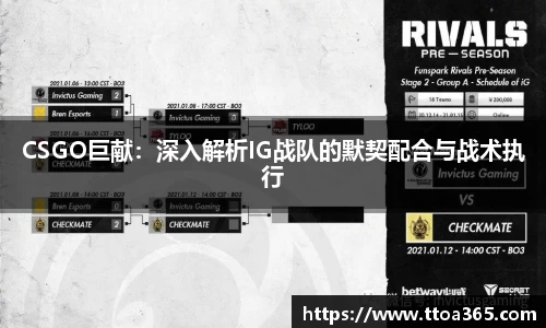 CSGO巨献：深入解析IG战队的默契配合与战术执行